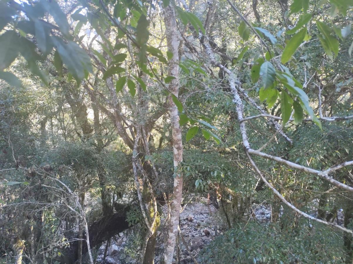 Cabana Pé das Serra dos Bitu 3 Urubici Extérieur photo